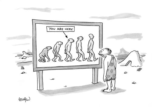 You are here.