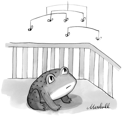 Baby frog with fly mobile.