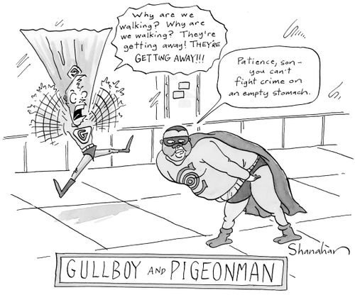 Gullboy and Pigeonman