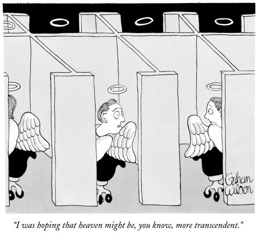 "I was hoping that heaven might be, you know, more transcendent."