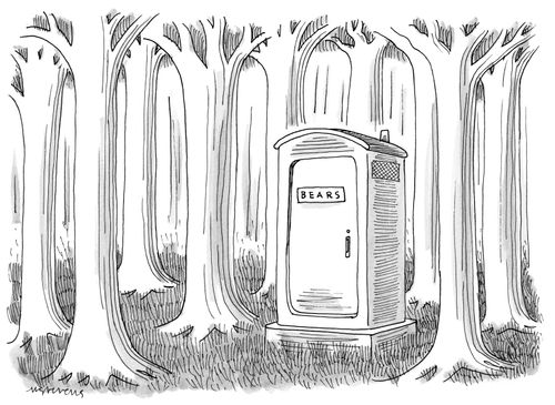 Bear toilet.