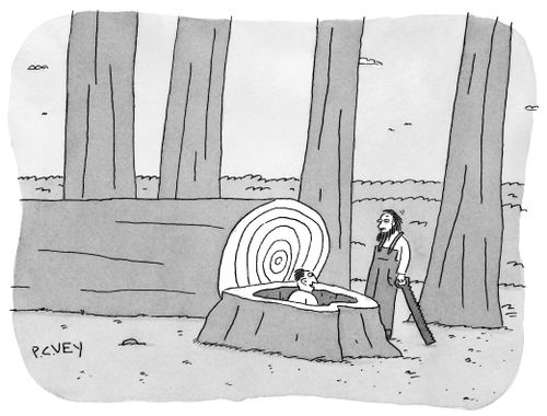 A man emerges from a tree stump