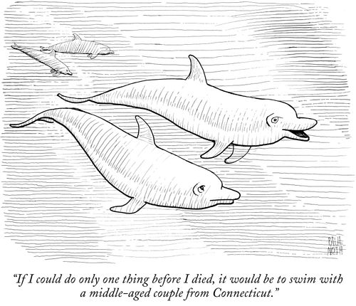 "If I could do only one thing before I died, it would be to swim with a middle-aged couple from Connecticut."