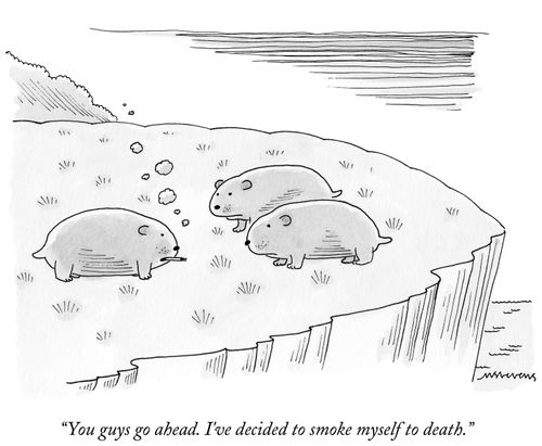 "You guys go ahead. I've decided to smoke myself to death."