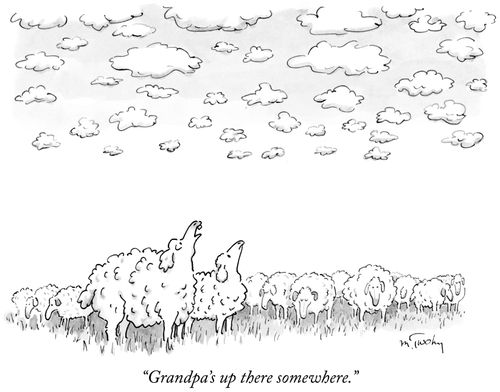 "Grandpa's up there somewhere."