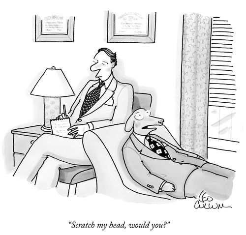 "Scratch my head, would you?"
