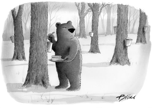 A bear steals maple syrup for his pancakes.