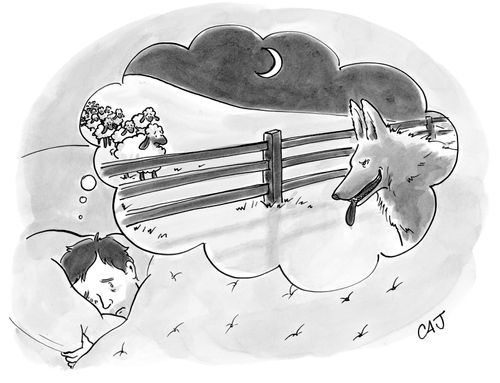 Counting Sheep