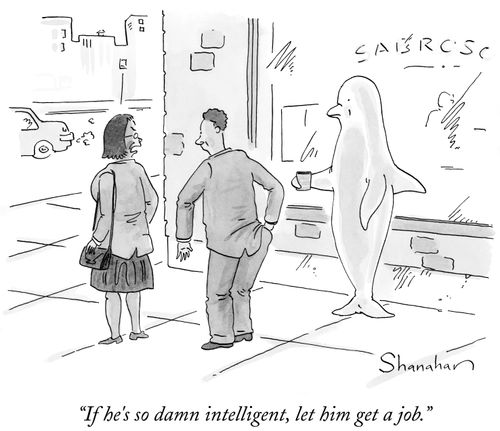 "If he's so damn intelligent, let him get a job."