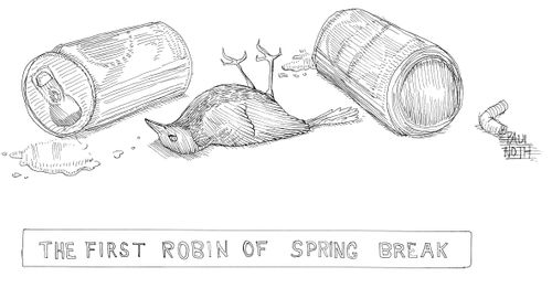 "The First Robin of Spring Break"