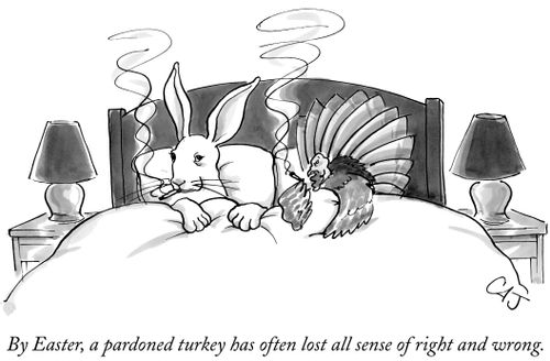 By Easter, a pardoned turkey has often lost all sense of right and wrong.