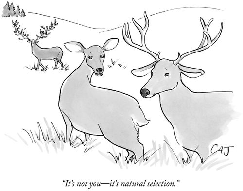 "It's not you—it's natural selection."