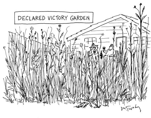 "Declared Victory Garden"