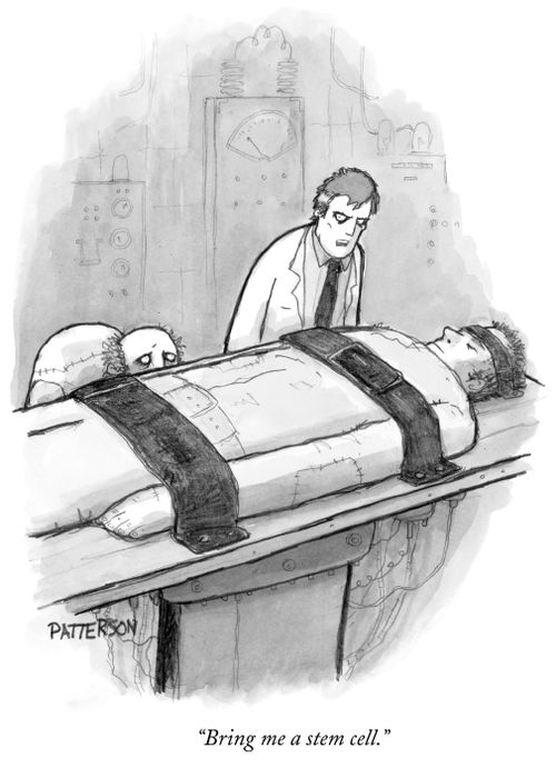 "Bring me a stem cell."
