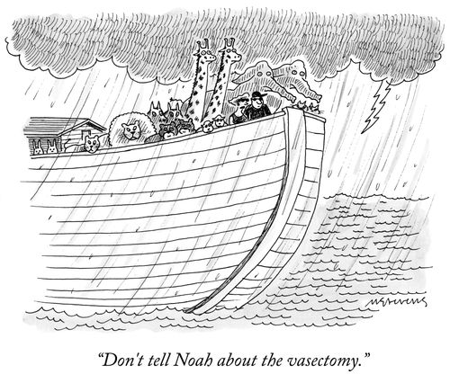 "Don't tell Noah about the vasectomy."