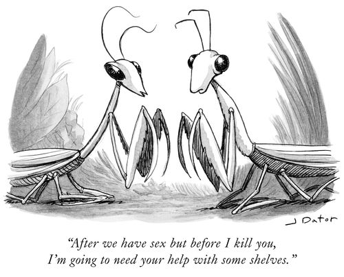 "After we have sex but before I kill you, I'm going to need your help with some shelves."