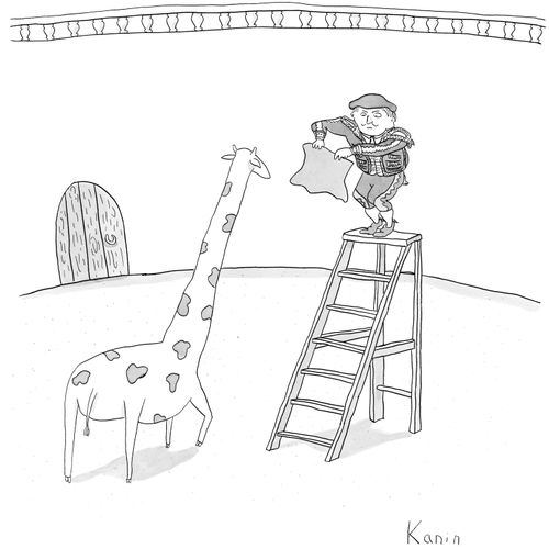 Giraffe Fighting