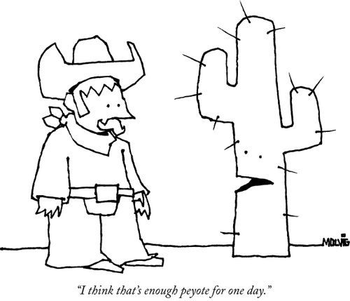 "I think that's enough peyote for one day."