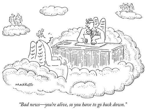"Bad news - you're alive, so you have to go back down."