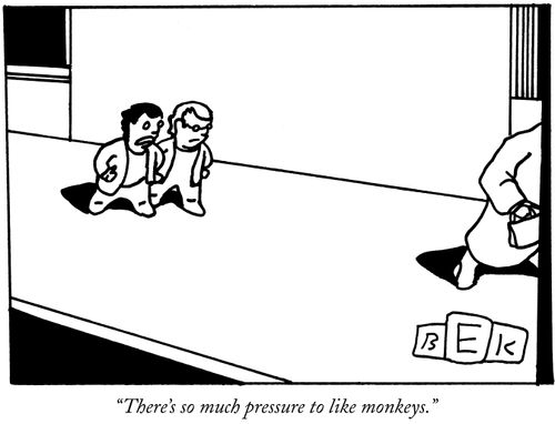 "There's so much pressure to like monkeys."