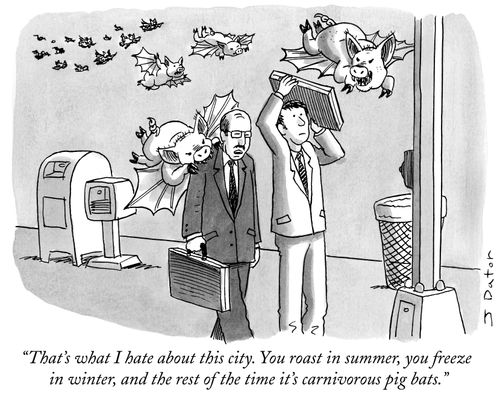 "You roast in summer, you freeze in winter and the rest of the time it's carnivorous pig bats."