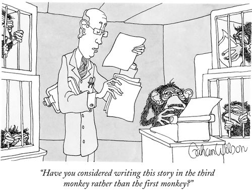 "Have you considered writing this story in the third monkey rather than the first monkey?"