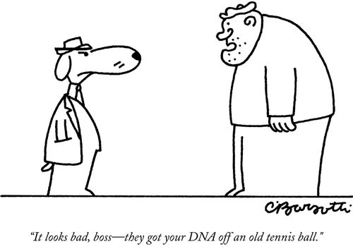 "It looks bad, boss - they got your DNA off an old tennis ball."