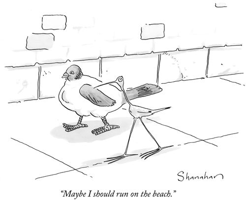 "Maybe I should run on the beach."