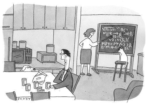 A woman teaches a cat maths as a man eats chips and drinks beer with a dog.