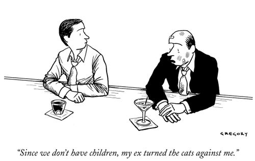 "Since we don't have children, my ex turned the cats against me."