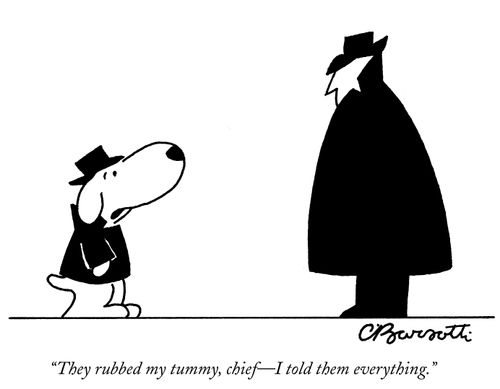 "They rubbed my tummy, chief- I told them everything."