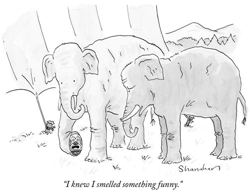 "I knew I smelled something funny."