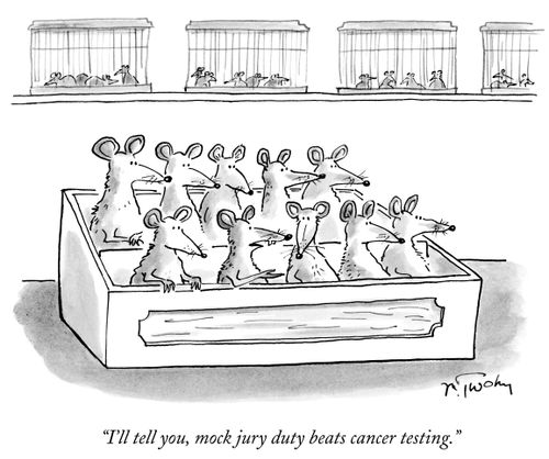 "I'll tell you, mock jury duty beats cancer testing."