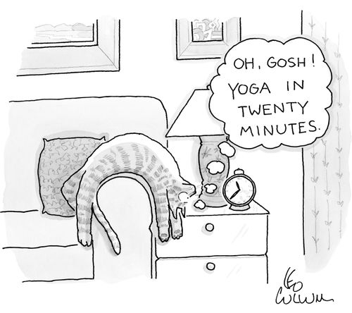 "Oh, gosh! Yoga in twenty minutes."