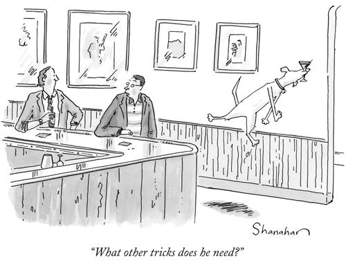 "What other tricks does he need?"