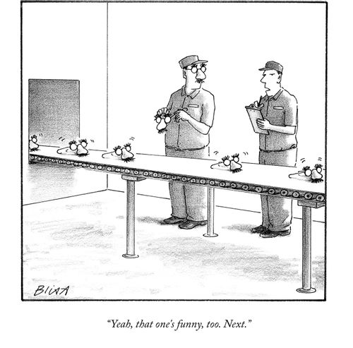 "Yeah, that one's funny, too. Next."