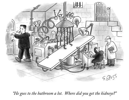 "He goes to the bathroom a lot. Where did you get the kidneys?"