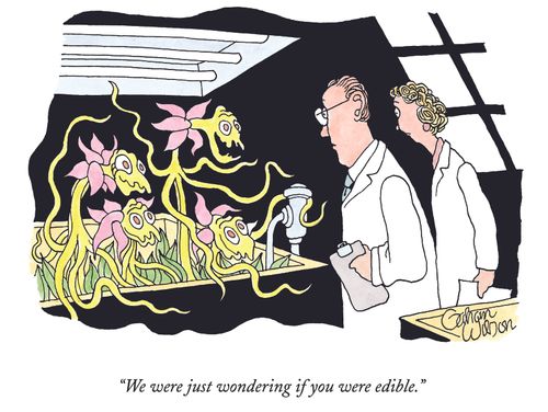 "We were just wondering if you were edible."