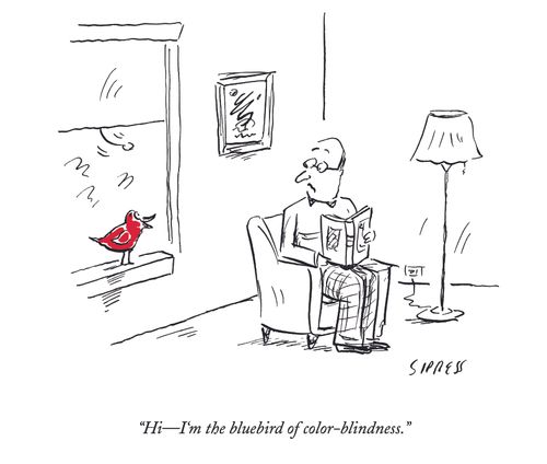"Hi - I'm the bluebird of color-blindness."