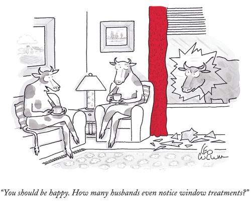 "You should be happy. How many husbands even notice window treatments?"