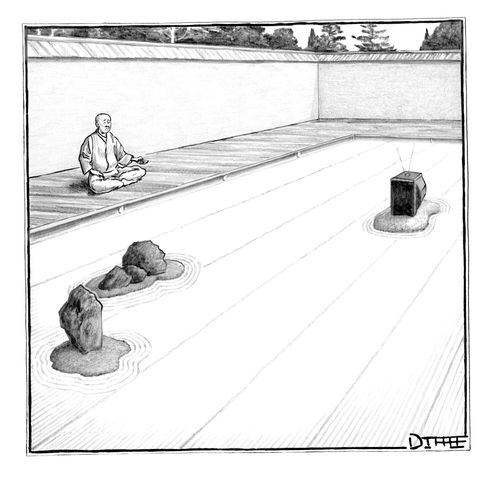 A monk watches TV in his zen garden.