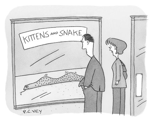Kittens and snake.