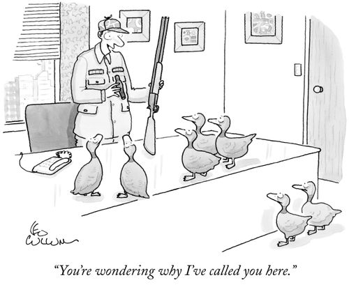 "You're wondering why I've called you here."