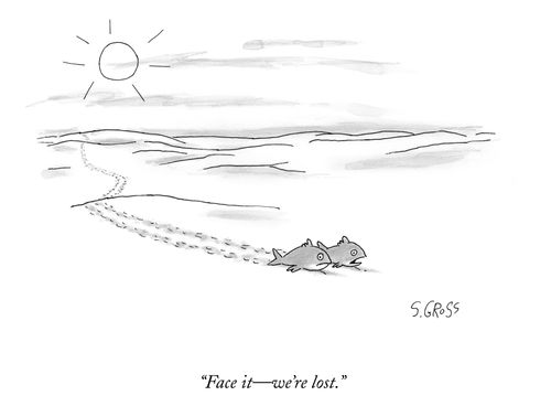 "Face it - we're lost."