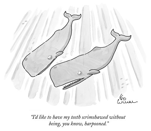 "I'd like to have my teeth scrimshawed without being, you know, harpooned."