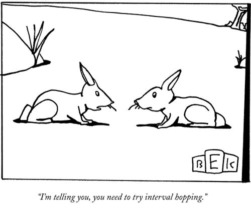 "I'm telling you, you need to try interval hopping."
