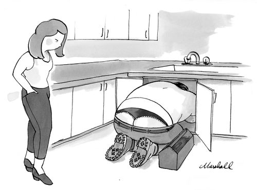 "A plumber fixes a sink showing his women's underwear."