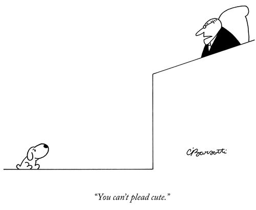 "You can't plead cute."