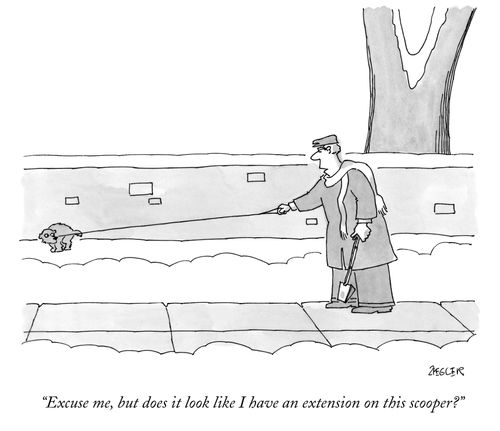 "Excuse me, but does it look like I have an extension on this scooper?"