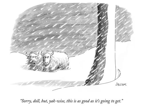 "Sorry, doll, but, yak-wise, this is as good as it's going to get."